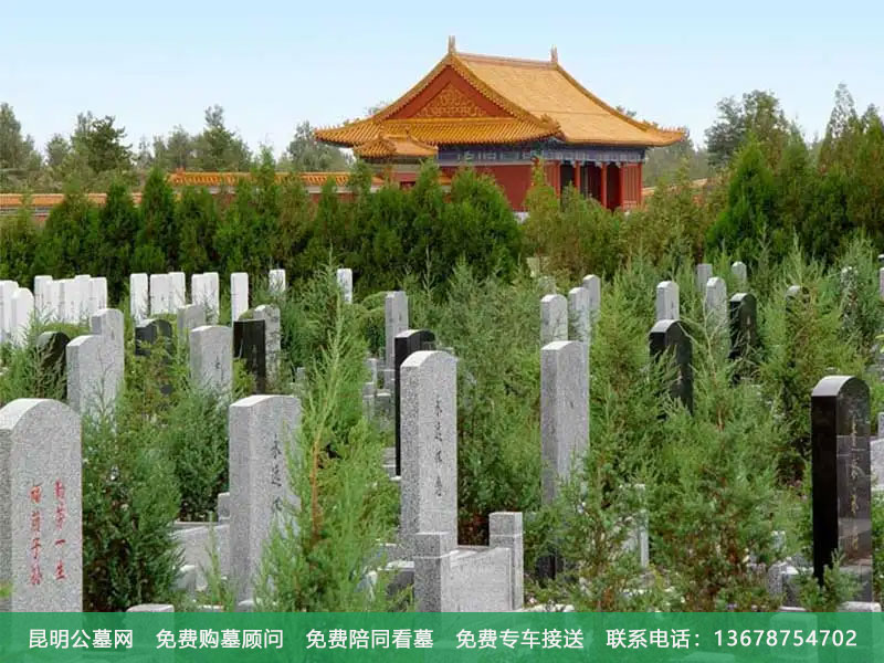 去墓地后得了癔病怎么办 去墓地后得了癔病怎么办