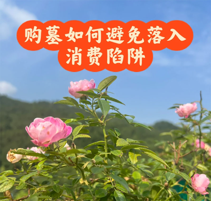 购墓如何避免掉入消费陷阱 购墓如何避免掉入消费陷阱
