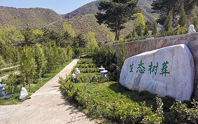 ᷨȫôŶǮ