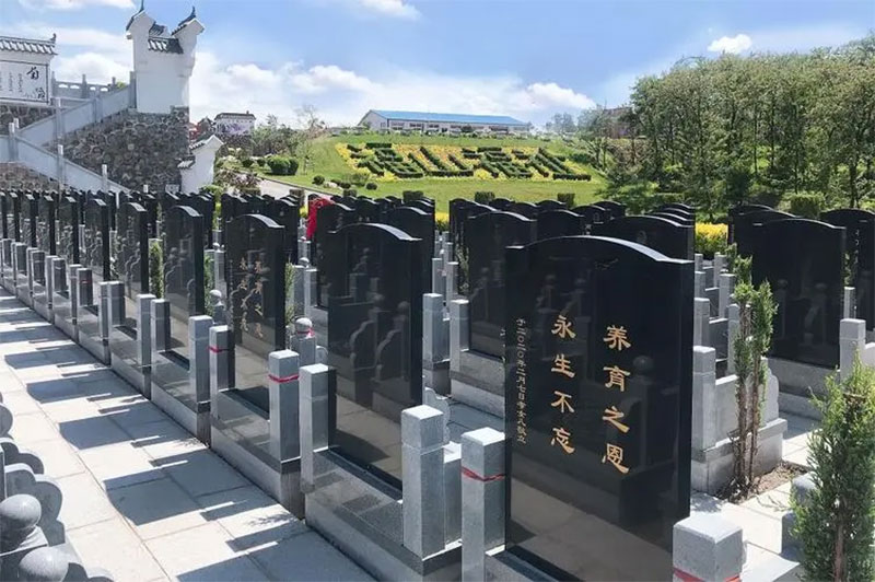 ԰빫Ĺʲô