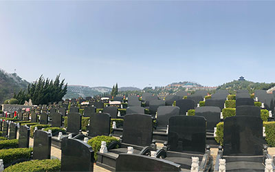 Ĺѡ׼