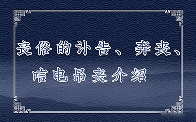 ɥ׵ĸ桢ɥɥ