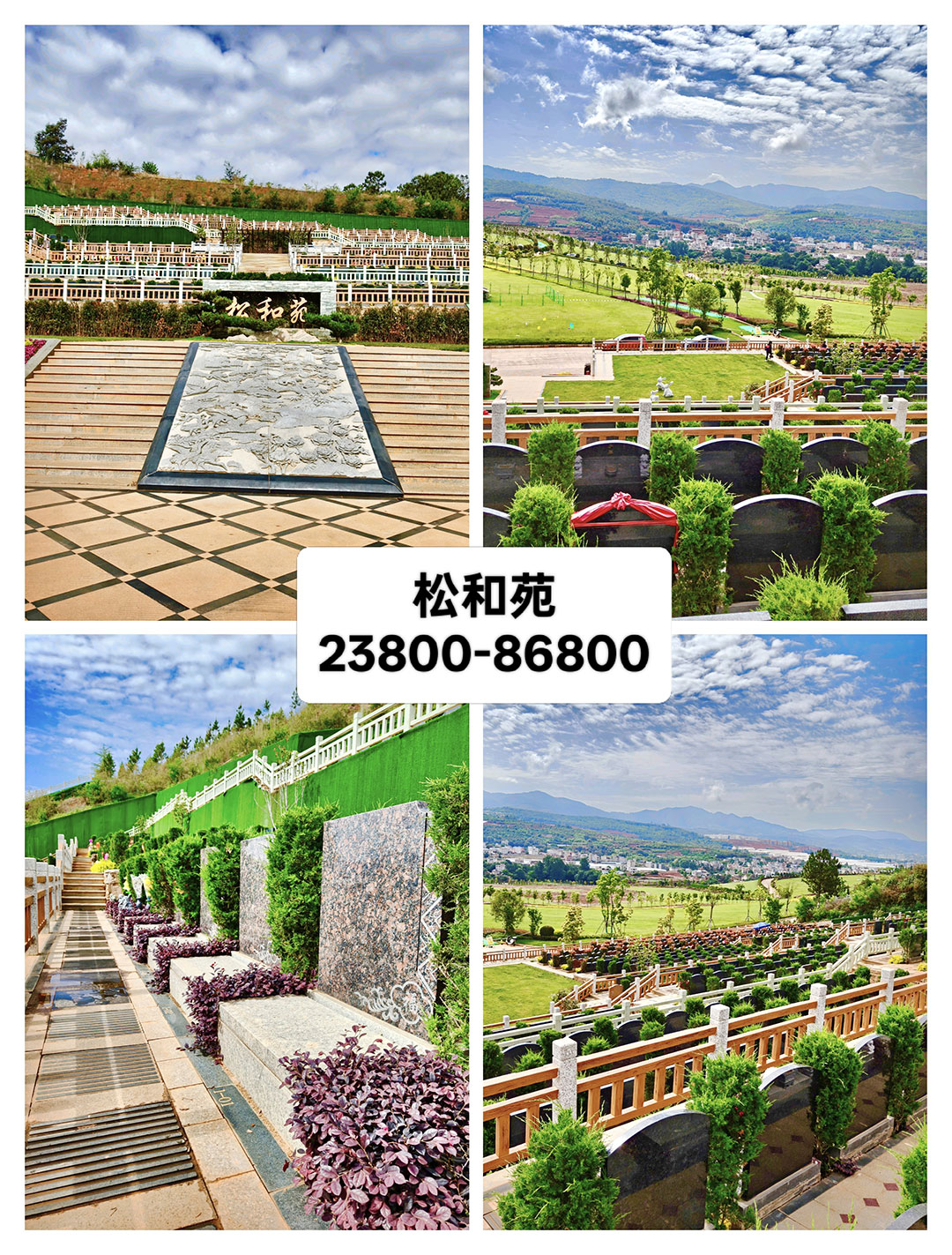 鰲԰ɺԷ ۸:23800-86800