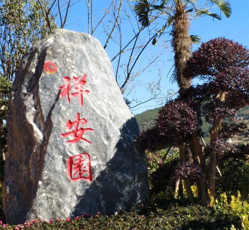 鰲԰ʲôص