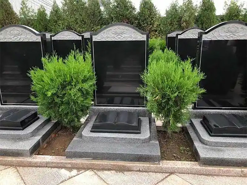 Ĺ԰˴Ƹص