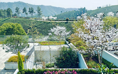 ᣺ع黹ʫ¶