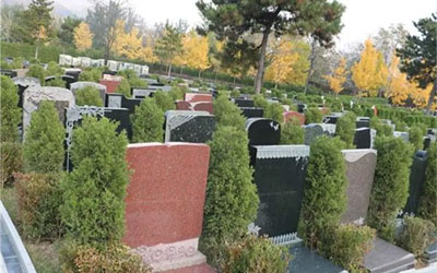 ӪԹĹ빫ԹĹĲ