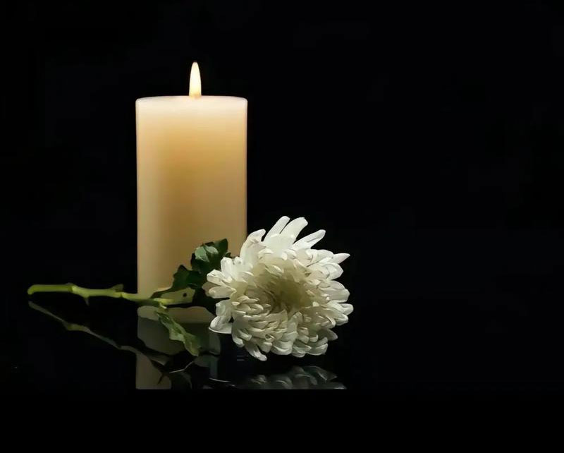 ˹İοô˵˹İο